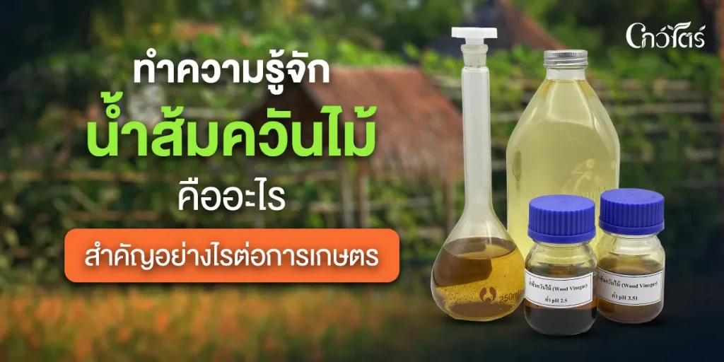 ทำความรู้จัก น้ำส้มควันไม้ คืออะไร สำคัญอย่างไรต่อการเกษตร