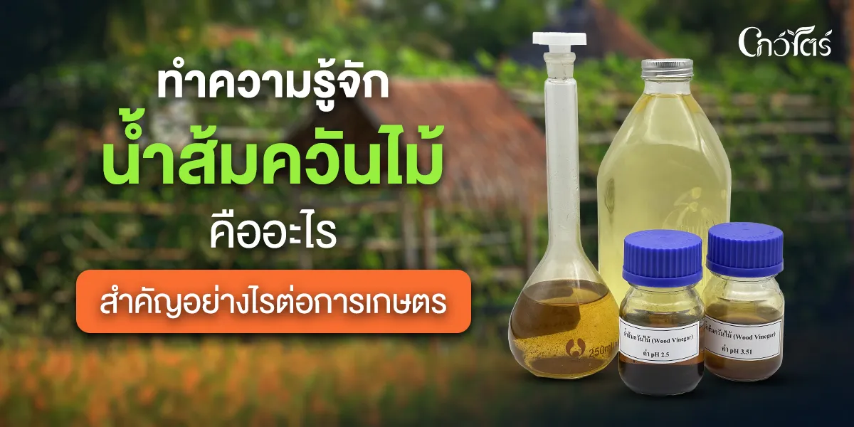 ทำความรู้จัก น้ำส้มควันไม้ คืออะไร สำคัญอย่างไรต่อการเกษตร