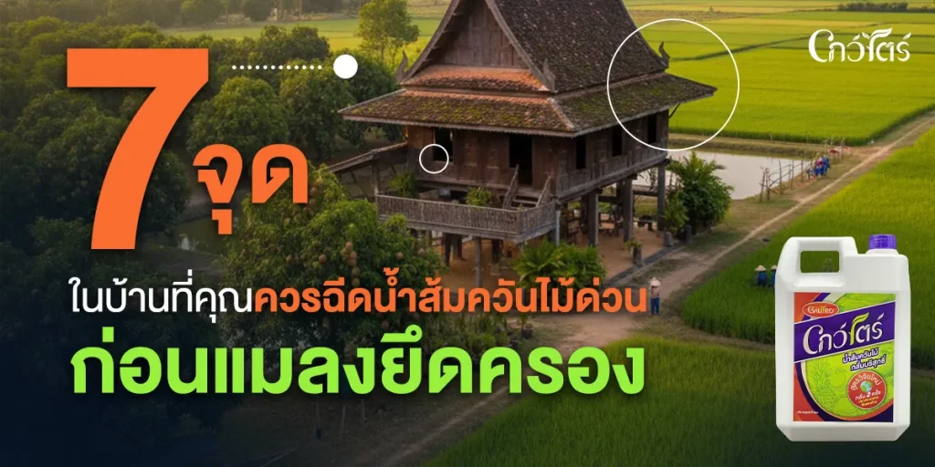 7 จุดในบ้านที่คุณควรฉีดน้ำส้มควันไม้ด่วน ก่อนแมลงยึดครอง