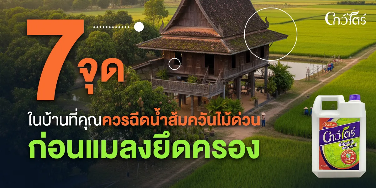 7 จุดในบ้านที่คุณควรฉีดน้ำส้มควันไม้ด่วน ก่อนแมลงยึดครอง