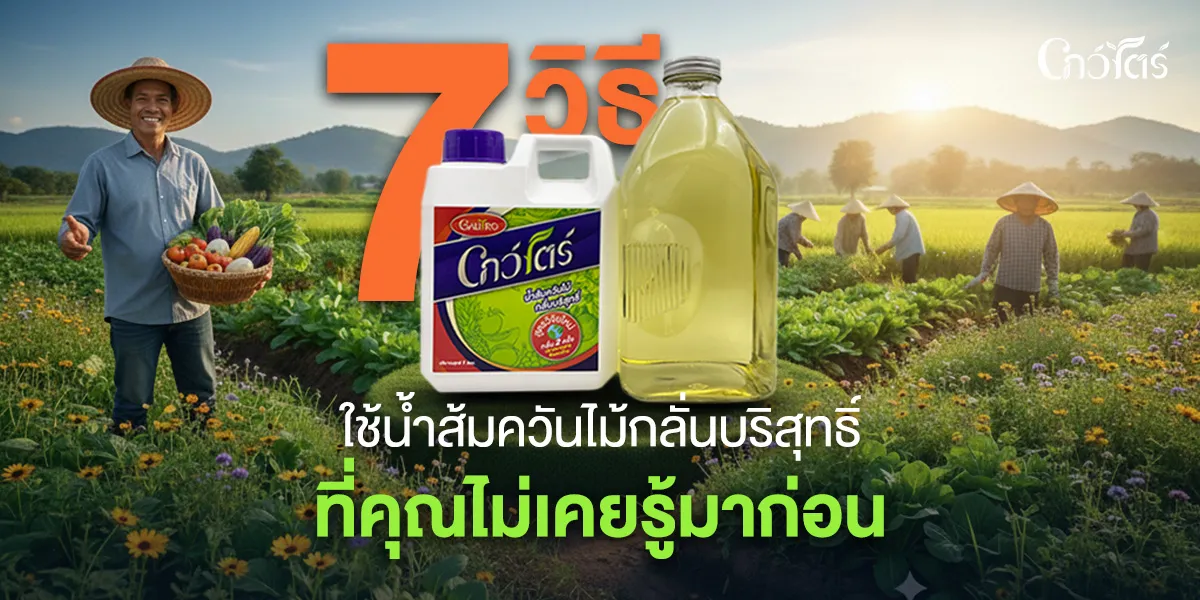 7 วิธีใช้น้ำส้มควันไม้กลั่นบริสุทธิ์ ที่คุณไม่เคยรู้มาก่อน