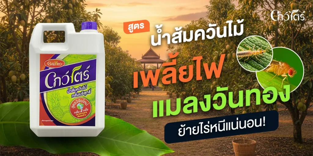 สูตรน้ำส้มควันไม้