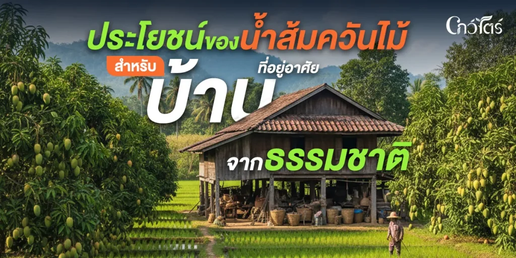 ประโยชน์ของน้ำส้มควันไม้ สำหรับบ้านที่อยู่อาศัย จากธรรมชาติ