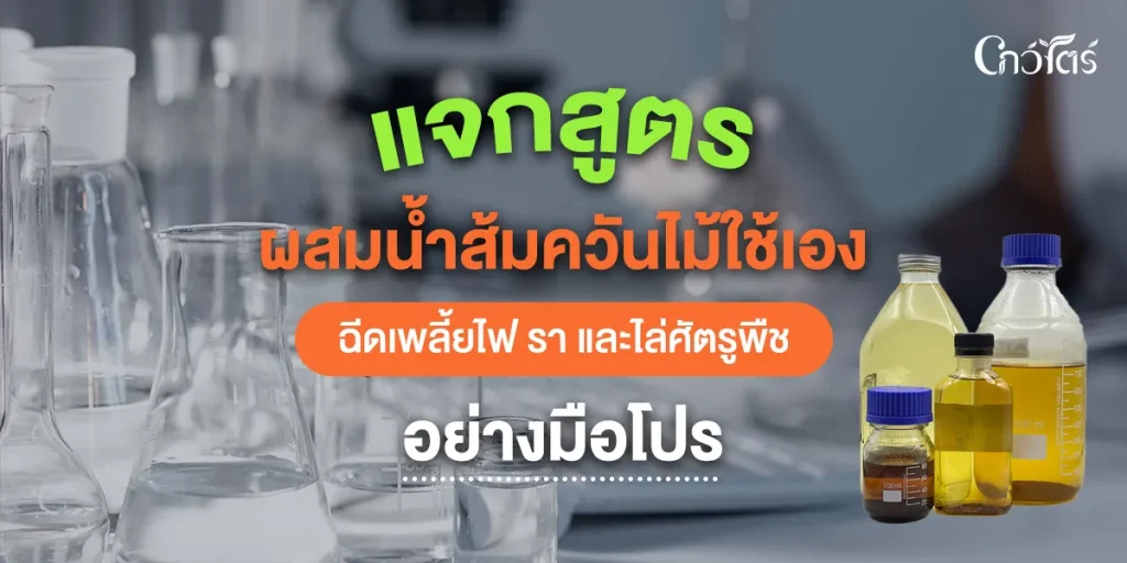 แจกสูตร ผสมน้ำส้มควันไม้ใช้เองฉีดเพลี้ยไฟ รา และไล่ศัตรูพืชอย่างมือโปร