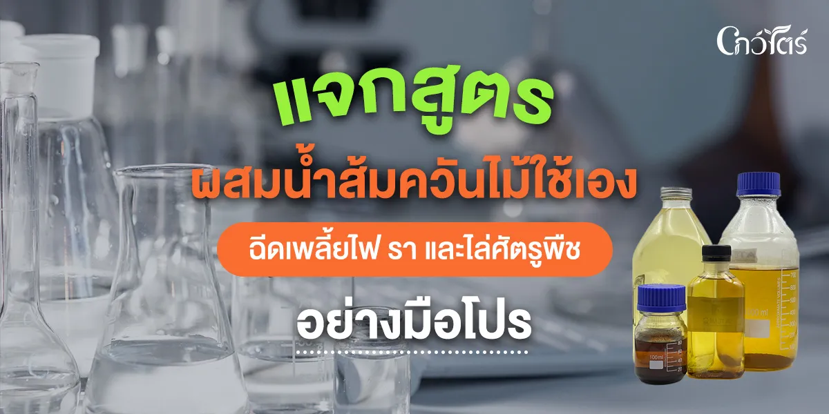 แจกสูตร ผสมน้ำส้มควันไม้ใช้เองฉีดเพลี้ยไฟ รา และไล่ศัตรูพืชอย่างมือโปร