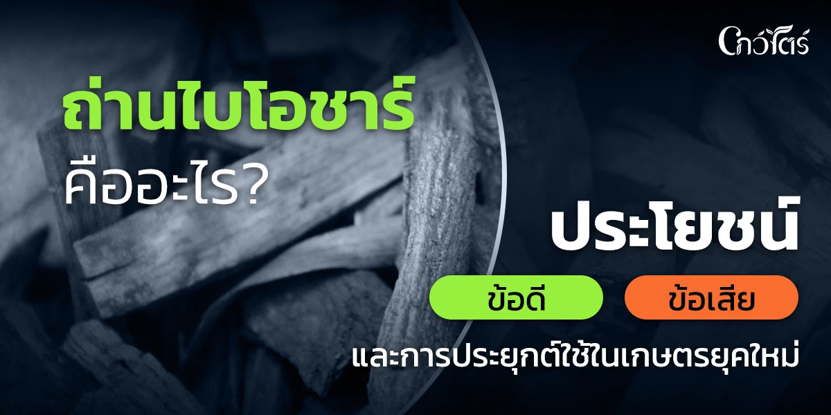 ถ่านไบโอชาร์ คืออะไร ประโยชน์ ข้อดีข้อเสีย และการประยุกต์ใช้ในเกษตรยุคใหม่