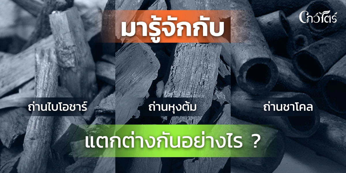 มารู้จักกับ ถ่านไบโอชาร์ ถ่านหุงต้ม ถ่านกัมมันต์ แตกต่างกันอย่างไร