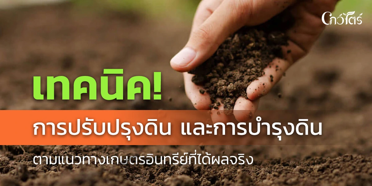 เทคนิค!การปรับปรุงดิน และการบำรุงดิน ตามแนวทางเกษตรอินทรีย์ที่ได้ผลจริง