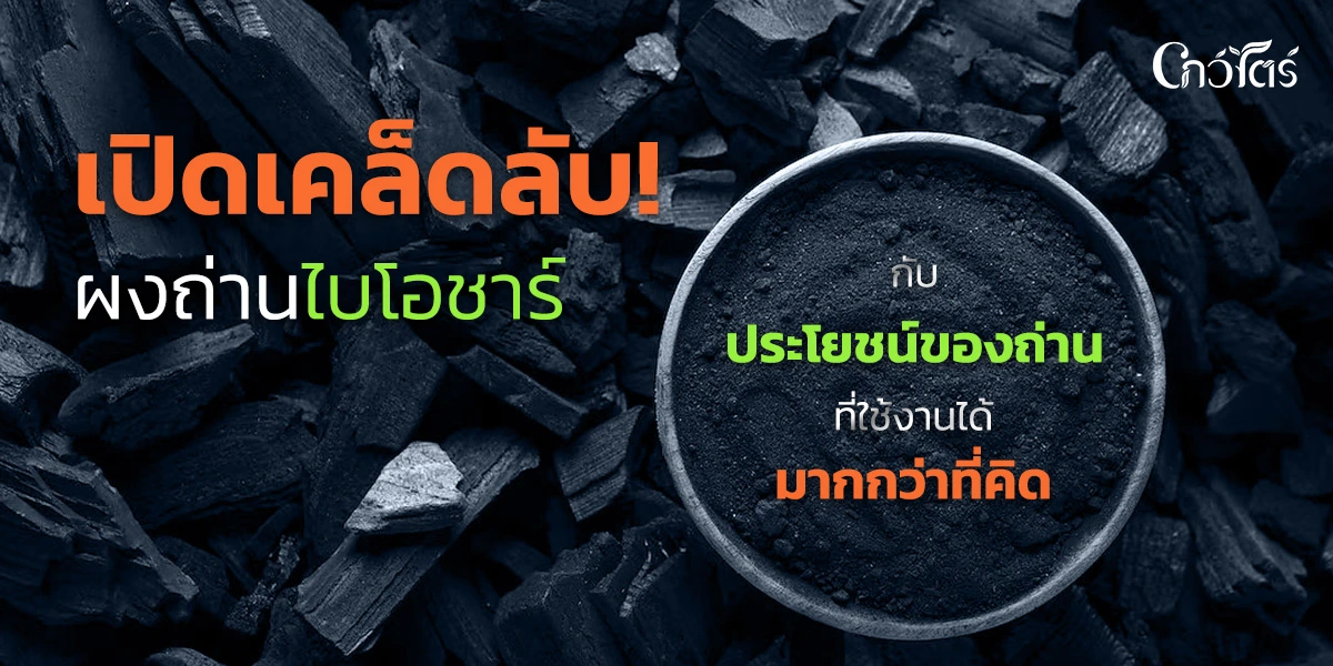 เปิดเคล็ดลับ! ผงถ่านไบโอชาร์ กับประโยชน์ของถ่านที่ใช้งานได้มากกว่าที่คิด